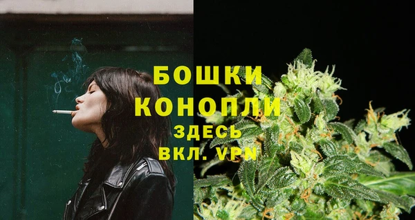 хмурый Касимов