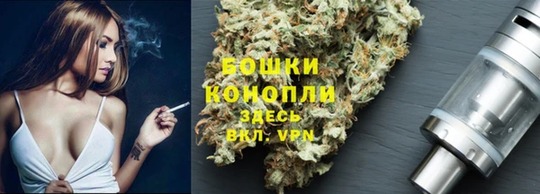 хмурый Касимов