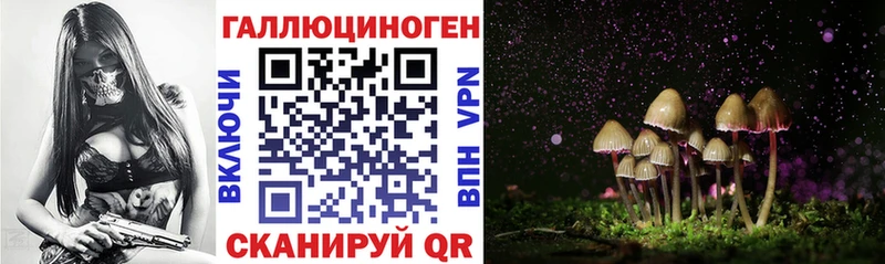 Псилоцибиновые грибы MAGIC MUSHROOMS  Купить  Гдов 